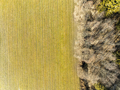 Aerial view of golden fields meet the stark contrast of the winter forest's edge, a tapestry of textures under the soft light, Berg im Drautal, Carinthia, Austria.