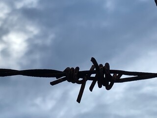 Rusty Barbed Wire in Silhouette Against a Cloudy Sky