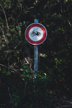 Panneau de signalisation interdisant l'acc&egrave;s aux cyclomoteurs et mobylettes situ&eacute; dans une for&ecirc;t dense et verdoyante, concept de protection de la nature