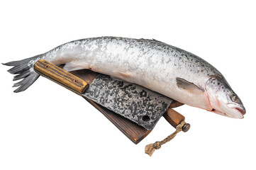 Whole farmed Atlantic salmon with knife and herbs on wooden board. High quality seafood fish for cooking and healthy gourmet meals.