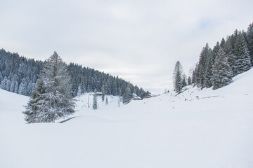 Winter landscape with pine forest and lots of snow near Lenggries, Bavarian alps