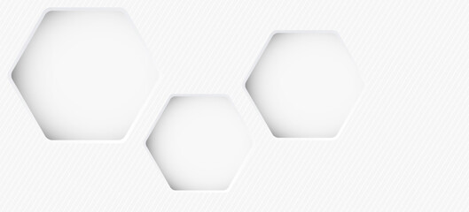 White wood free uncoated paper rough textured with 3D rounded hexagon frame paper cut style graphic illustration have blank space.