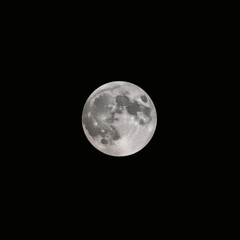 Fototapeta premium Black background image with white full moon color