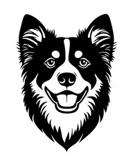 Fototapeta premium Border Collie png black dog clipart, transparent background