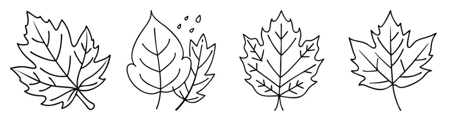 Autumn leaf vector icon set isolated on white background minimalist seasonal foliage design elements