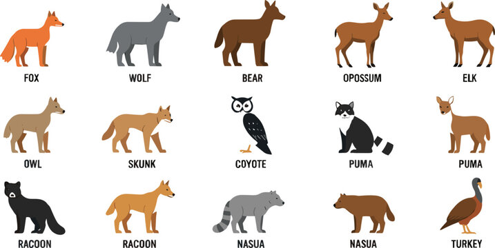  Wild Forest Animal Flat Vector Illustration Set with Fox Wolf Bear Raccoon Owl and Woodland Wildlife
