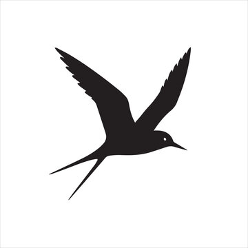 A arctic tern bird silhouette vector style