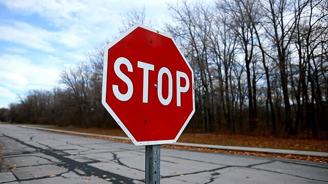 A red stop sign against a backdrop of bare trees and an overcast sky, emphasizing caution and tranquility in a quiet setting