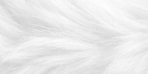 soft white fur texture with fine delicate fibers forming soft fur texture on white pattern background. © Daiyan