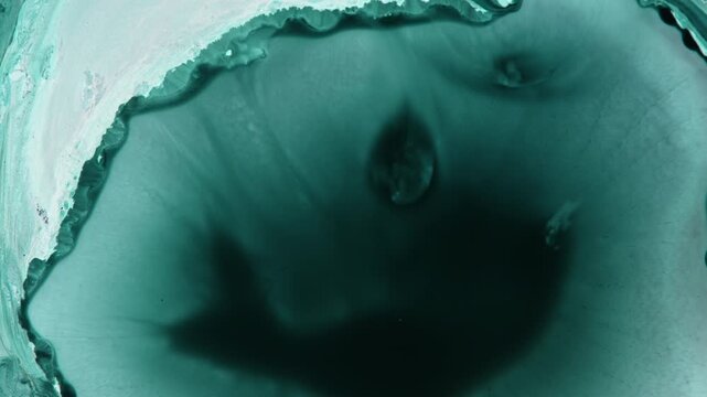 Macro shot of liquids merging, showcasing fluid dynamics concepts