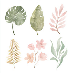 Obraz premium Watercolor tropical leaves clipart set hand painted in soft pastel colors, featuring monstera, palm, banana and exotic foliage, perfect for nursery decor