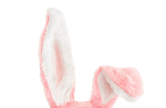plush pink rabbit ears on a white isolated background
