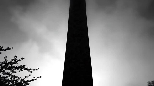Black and white view of a tall obelisk with a cloudy sky and blossom-filled branches