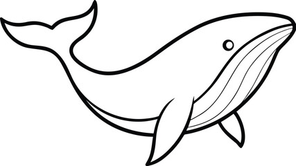 Fototapeta premium Whale line art vector thin black outline animal ocean 2