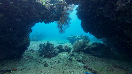 Coral arch above a sandy reef floor. Soft corals hang under the rocky overhang opening into clear blue water.