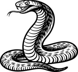 Fototapeta premium Cobra snake coiled and ready to strike with open mouth and flicking tongue in black and white illustration