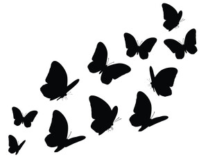 butterfly silhouettes vector