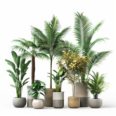 Fototapeta premium Palm Plants and Houseplants in Decorative Ceramic Pots.