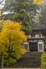 Fototapeta premium 日本 鳥取県西伯郡大山町にある大山寺の紅葉に囲まれた仁王門