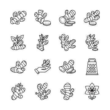 Ginger Root Icons Set Collection, Sliced, Grated, With Leaves, Hand Holding, Stock Media