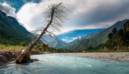 dead tree standing in a river amid mountain scenery emphasizing erosion risk