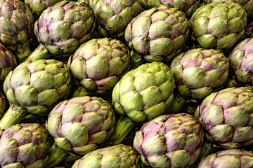 Fresh Artichokes with Dewy Details Full Frame Background