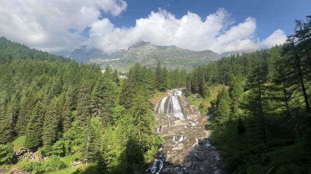 A river flows over rocks and forms a waterfall in the middle of a pine forest on a sunny day. Camera move to right