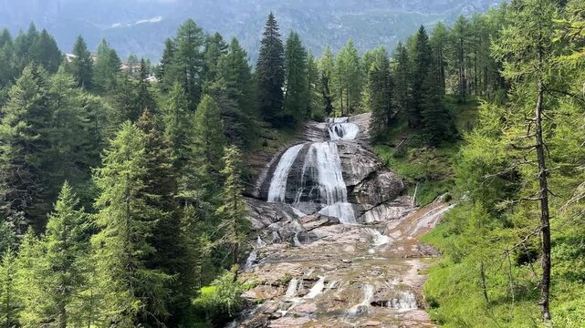 A river flows over rocks and forms a waterfall in the middle of a pine forest on a sunny day. Camera Tilt up