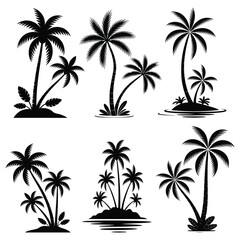 Tropical Palm Tree Silhouettes on Islands beach