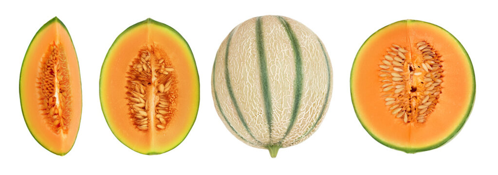 Cantaloupe melon isolated on white background with full depth of field. Top view. Flat lay