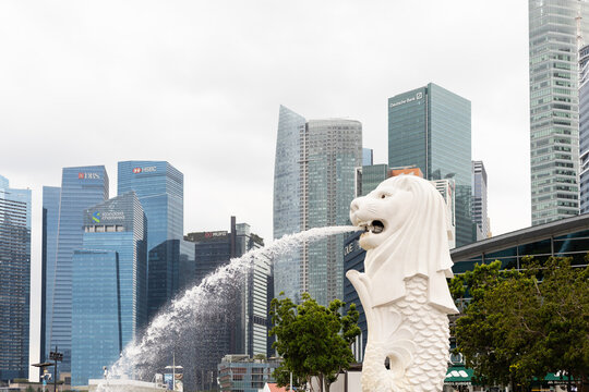 Singapore - January 11, 2026: A merlion fountain is seen in Singapore. Water flows from the statue's mouth. Tall buildings surround the area under a cloudy sky. It is a popular place.