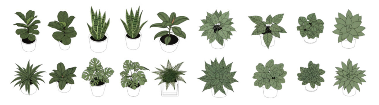 Vector Set of Potted Indoor Houseplants in Top View and Isometric Styles