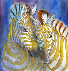 Watercolor illustration of two contrasting zebras with white and yellow stripes on a blue background (Hand drawn, not AI)