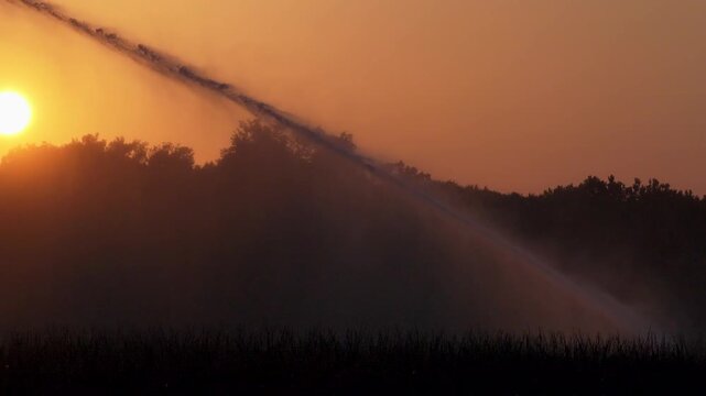 Industrial irrigation of a field. Sprinkler system in front of a sunset during a dry summer.
