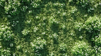 Fototapeta premium Breathtaking Aerial View of Lush Green Meadow with White Wildflowers in Full Bloom During Springtime