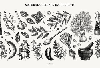 Culinary herbs and spices seamless pattern. Kitchen ingredients hand drawn vector illustration. Natural food background in sketched style. NOT AI generated © sketched-graphics