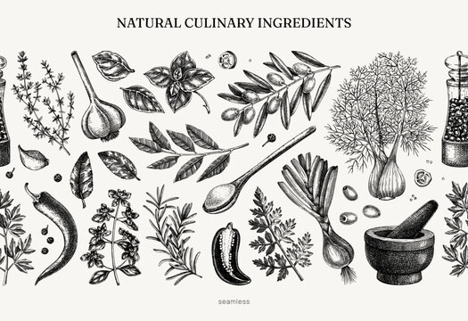 Culinary herbs and spices seamless pattern. Kitchen ingredients hand drawn vector illustration. Natural food background in sketched style. NOT AI generated