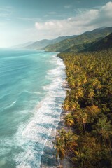 Obraz premium Scenic aerial view of a tropical coastline with lush palm forest and turquoise ocean waves, creating a peaceful summer travel and nature background.