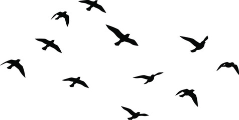 Black and white flying bird silhouettes forming dynamic flock in open sky, minimalist wildlife nature vector illustration for freedom, migration, and outdoor design concepts
