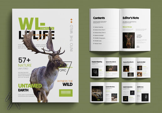 Nature and Wildlife Editorial Magazine Layout