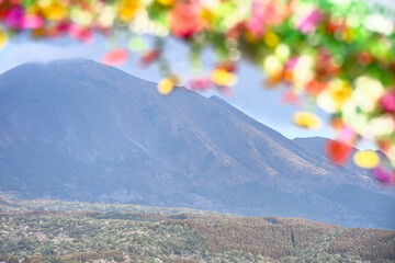 美しい山の風景
