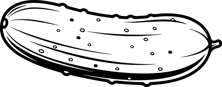 Fresh cucumber vegetable outline for healthy organic food ingredient and garden produce design &ndash; Black and White Vector Illustration