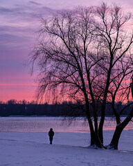 Lone person on snowy riverbank at pink winter sunset with bare trees