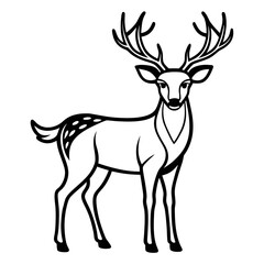 Fototapeta premium deer ,illustration outline isolated on white background