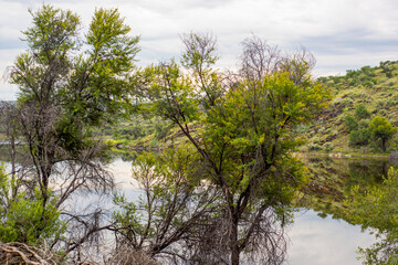 Obraz premium Paysage lacustre en namibie en été un matin nuageux