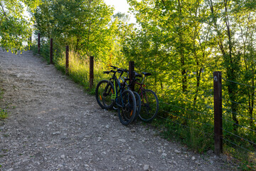 Two bicycles resting against a wire fence along a gravel path in sunlit green woodland. Outdoor cycling lifestyle concept for sport, travel, weekend adventure, and active recreation in nature.