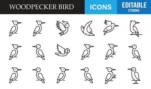Woodpecker bird wildlife editable stroke line icons set