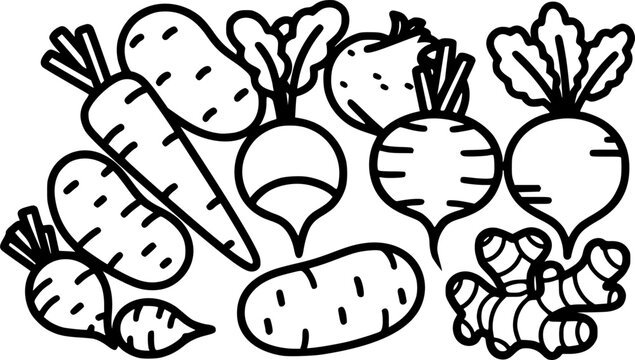 Root vegetable tuber outline for healthy organic food ingredient and natural garden harvest &ndash; Black and White Vector Illustration