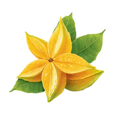 Fototapeta premium Starfruit, rendered in a minimalist 2D flat vector icon style against a pure white backdrop