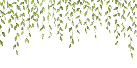 Watercolor illustration of green leaves hanging down in a decorative border against a white background ©  creative  marlia